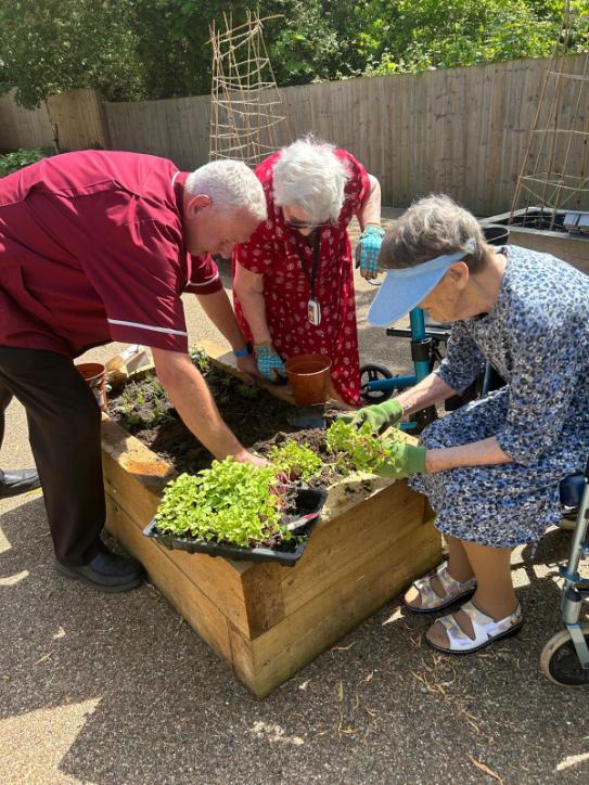 older ladies with a carer gardening