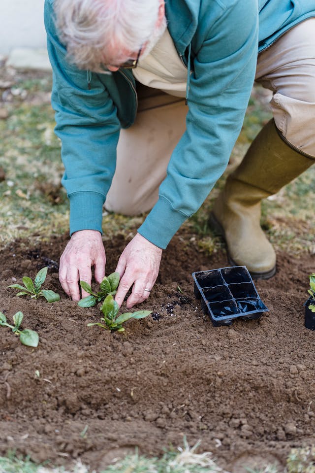 person gardening