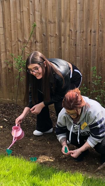 staff planting sunflowers