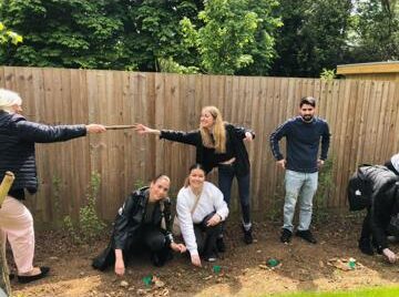 team planting sunflowers