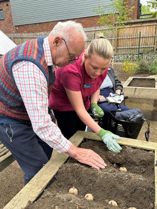 crer helping an older man plant potatoes