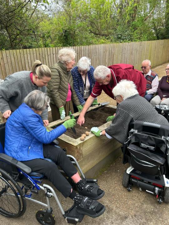 carers helping a group of residents plant potatoes